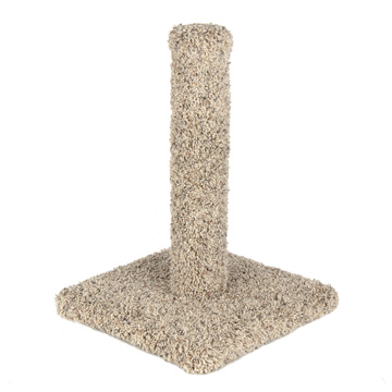 Ware 2025 scratching post