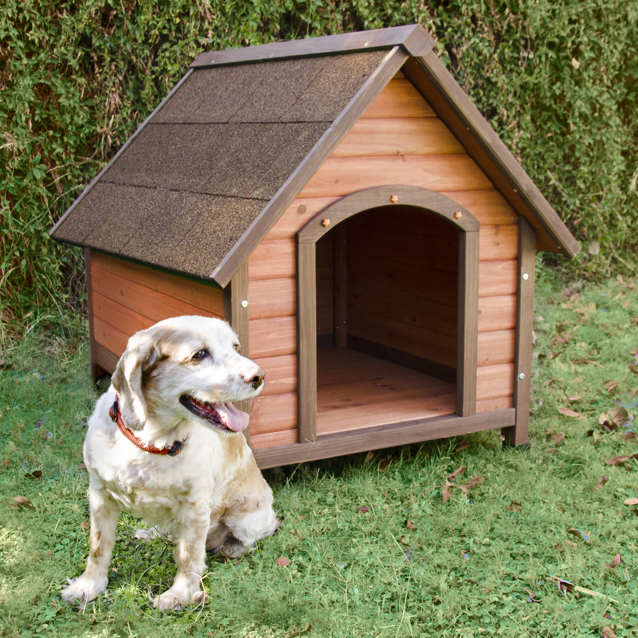 Ware best sale dog house