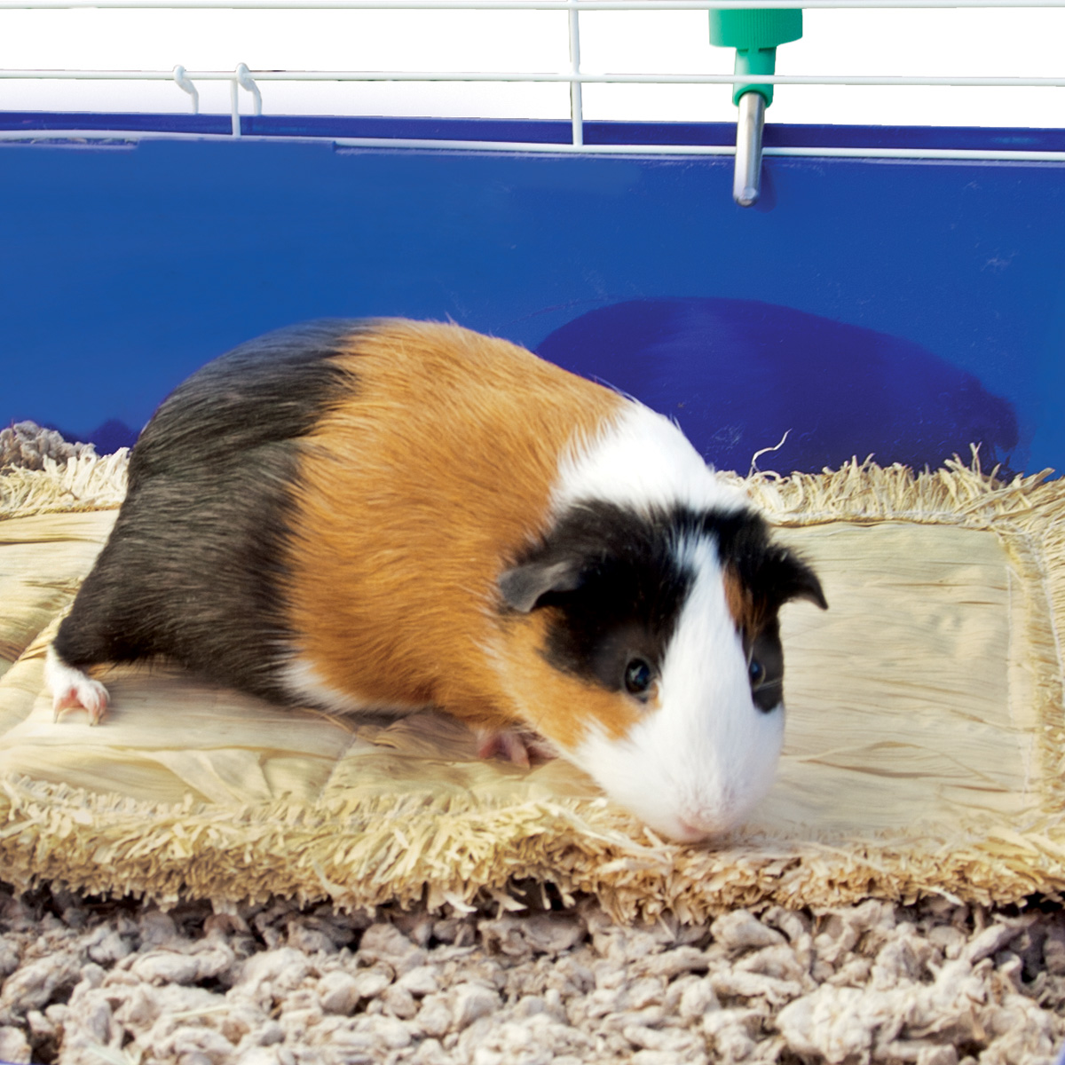 Critter Comfort Mat - 03165 - Ware Pet Products